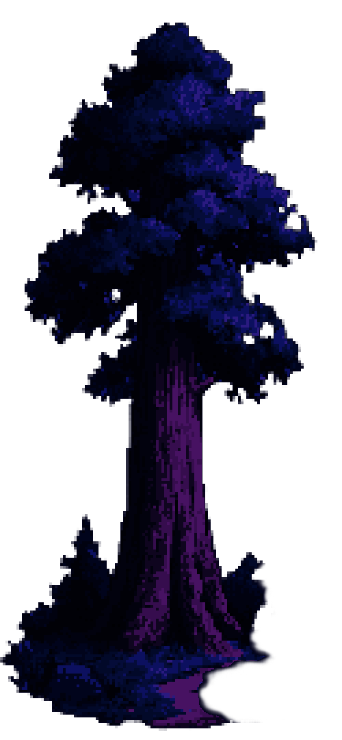 Sequoia Tree